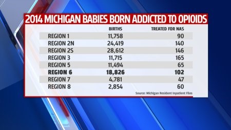 2014 Michigan Babies Addicted to Opioids